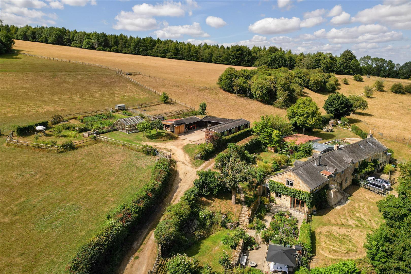 DJI_0410.jpg